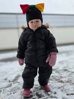 Alternative view of Šalmukas Trispalvė