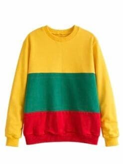 Alternative view of Džemperis Trispalvė